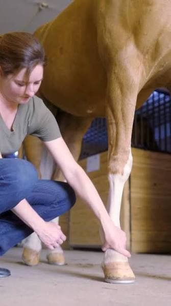 Woman crouching to examine the lower leg and hoof of a light brown horse.